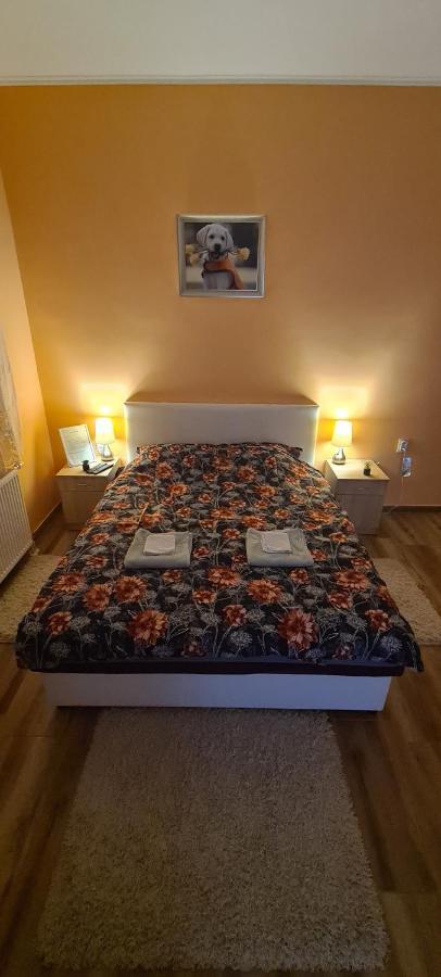ALES apartman- NO migrants Sombor Bagian luar foto